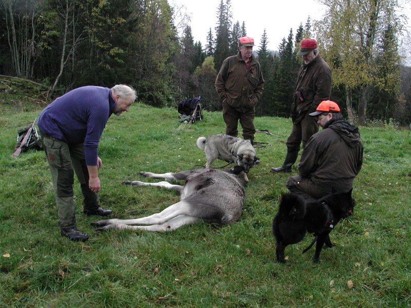 EPSN1021 (19).JPG - Trygve, Dixi, Jostein, Kåre, Toto  og Frode ved kavfallet